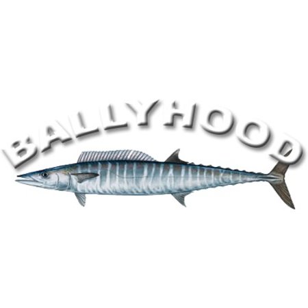 Ballyhood "Top Gun"