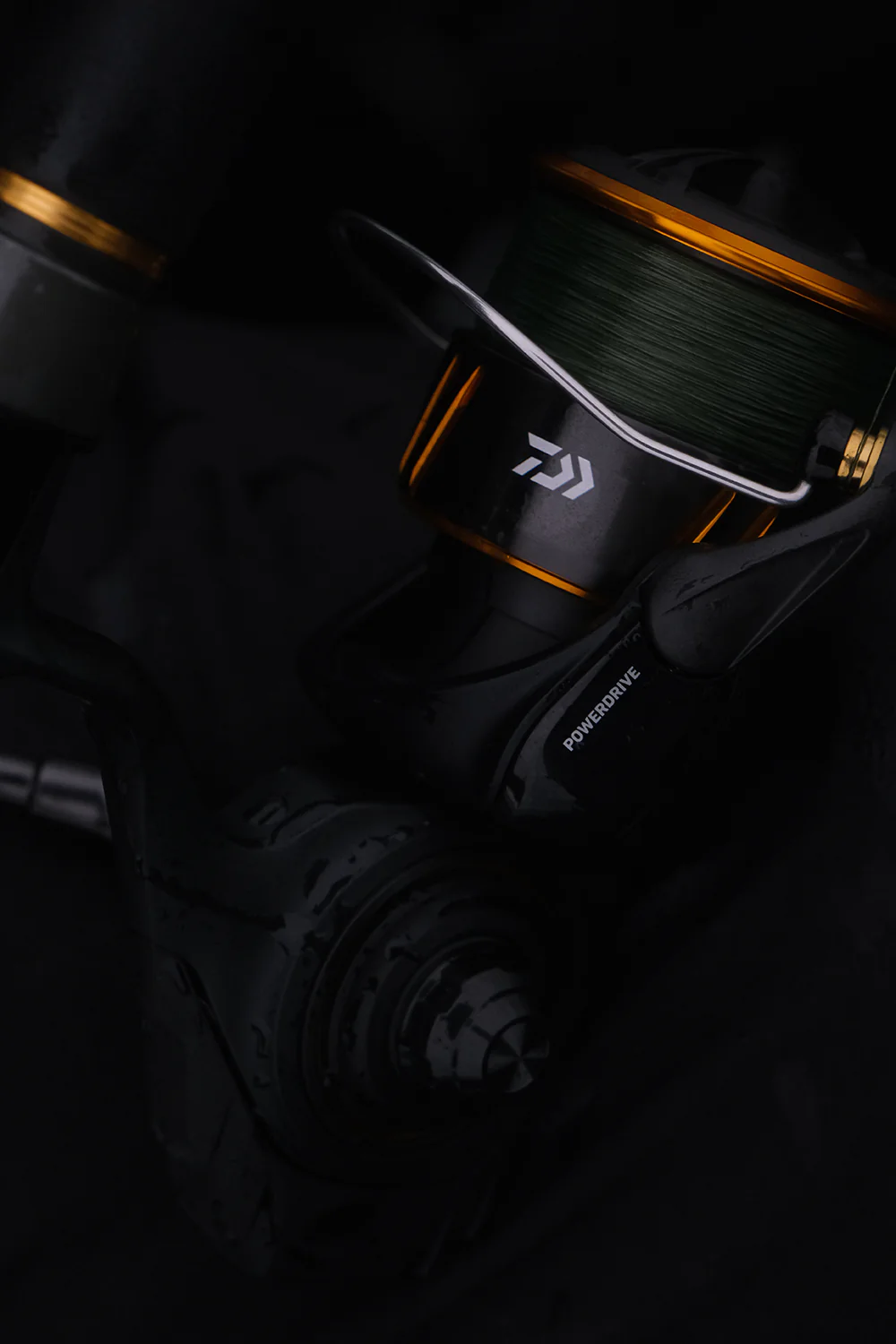 Daiwa BG LT Spinning Reel (2026)