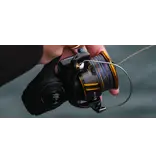 Daiwa BG LT Spinning Reel (2026)