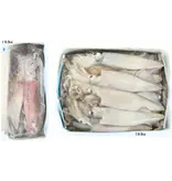 Frozen Squid (LOCAL PICK-UP ONLY)