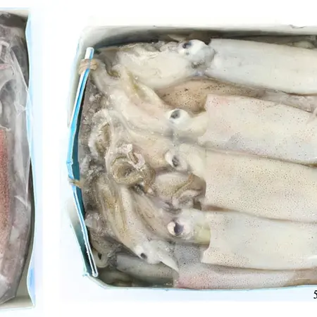 Frozen Squid (LOCAL PICK-UP ONLY)