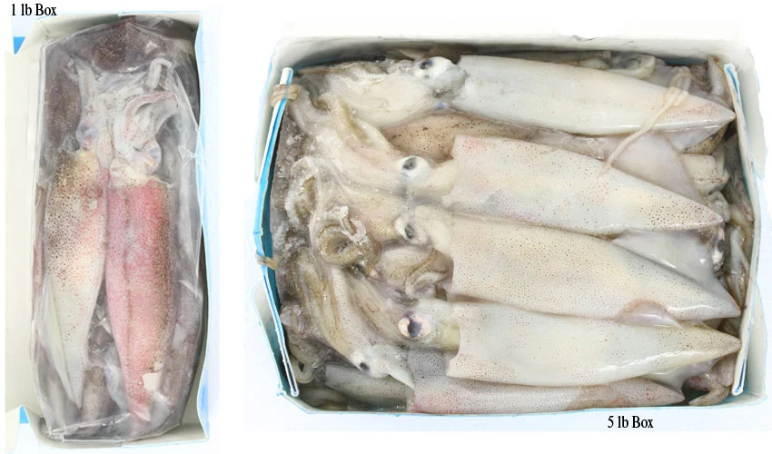 Frozen Squid (LOCAL PICK-UP ONLY)