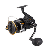 Daiwa BG SW Spinning Reel - 2026 NEW