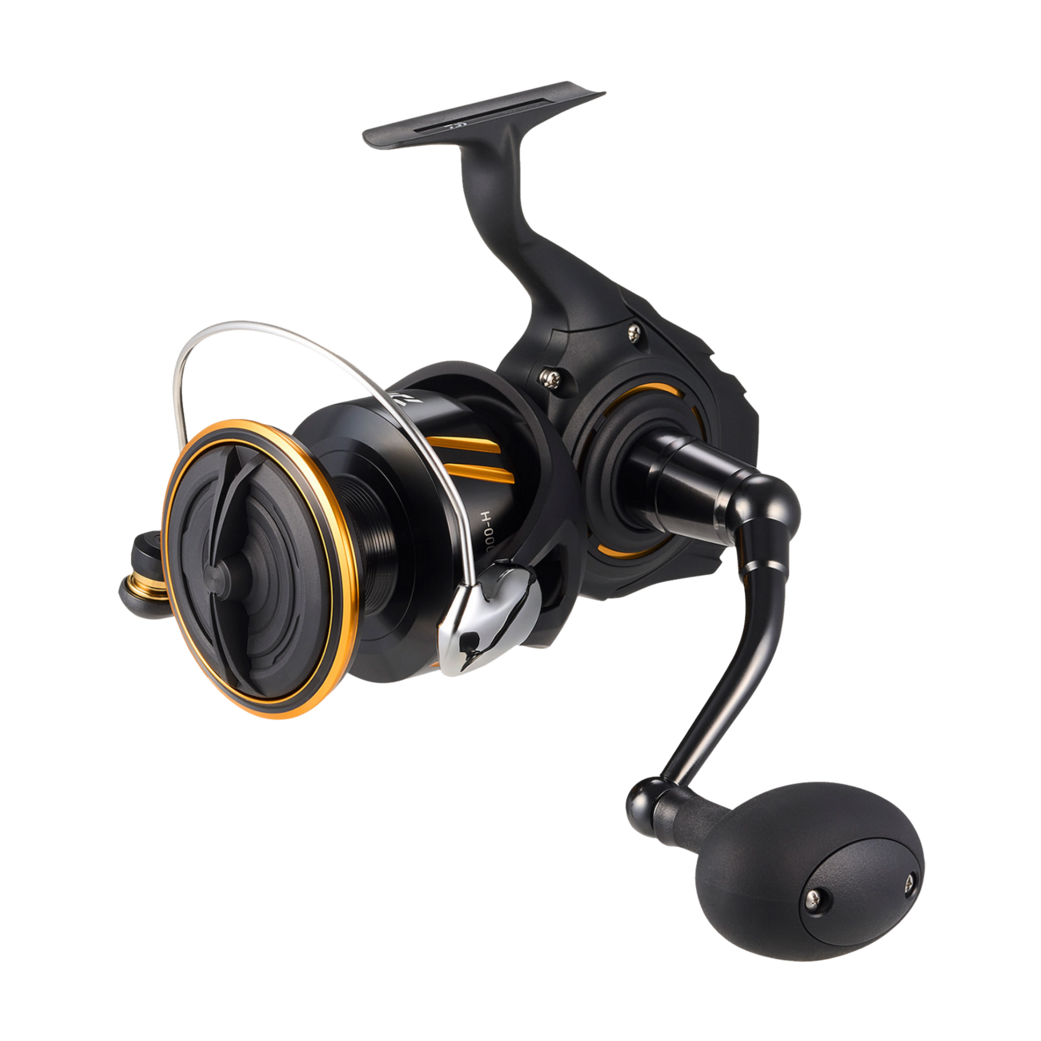 Daiwa BG SW Spinning Reel - 2026 NEW