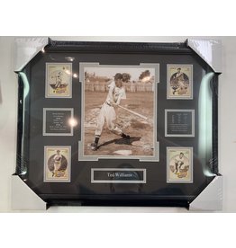 TED WILLIAMS 16X20 FRAME - BOSTON RED SOX