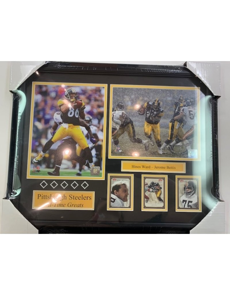 PITTSBURGH STEELERS ALL-TIME GREATS 16X20 FRAME