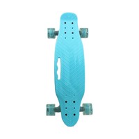 Skateboard with Light-Up Wheels