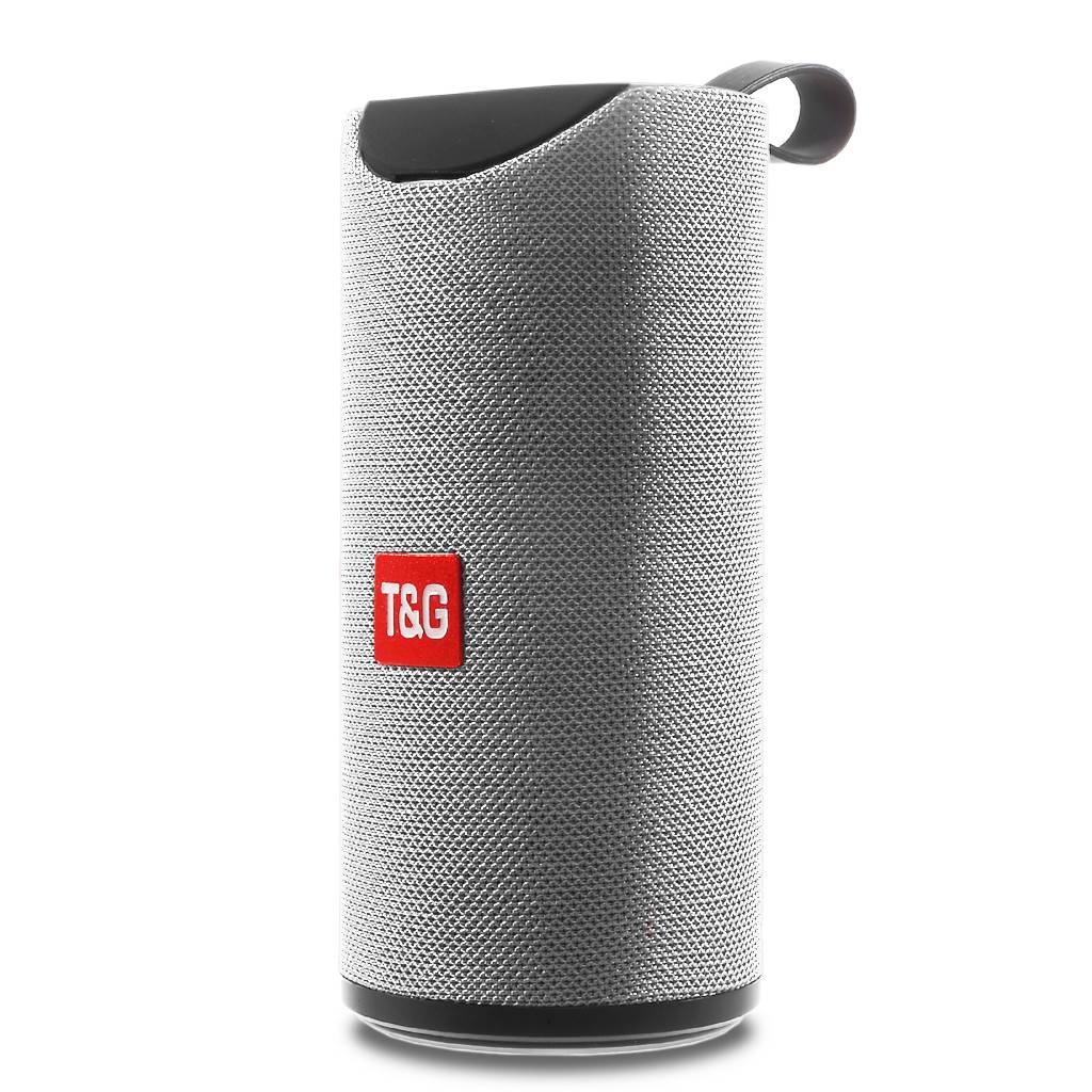T&G Portable Wireless Bluetooth Speaker With Handle TG113 Diego