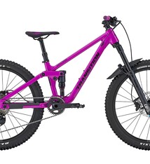 Transition Transition Ripcord 2025 Alloy (Boysenberry)