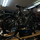 Transition Transition Repeater Carbon GX (Small, Mossy  Green) NEW