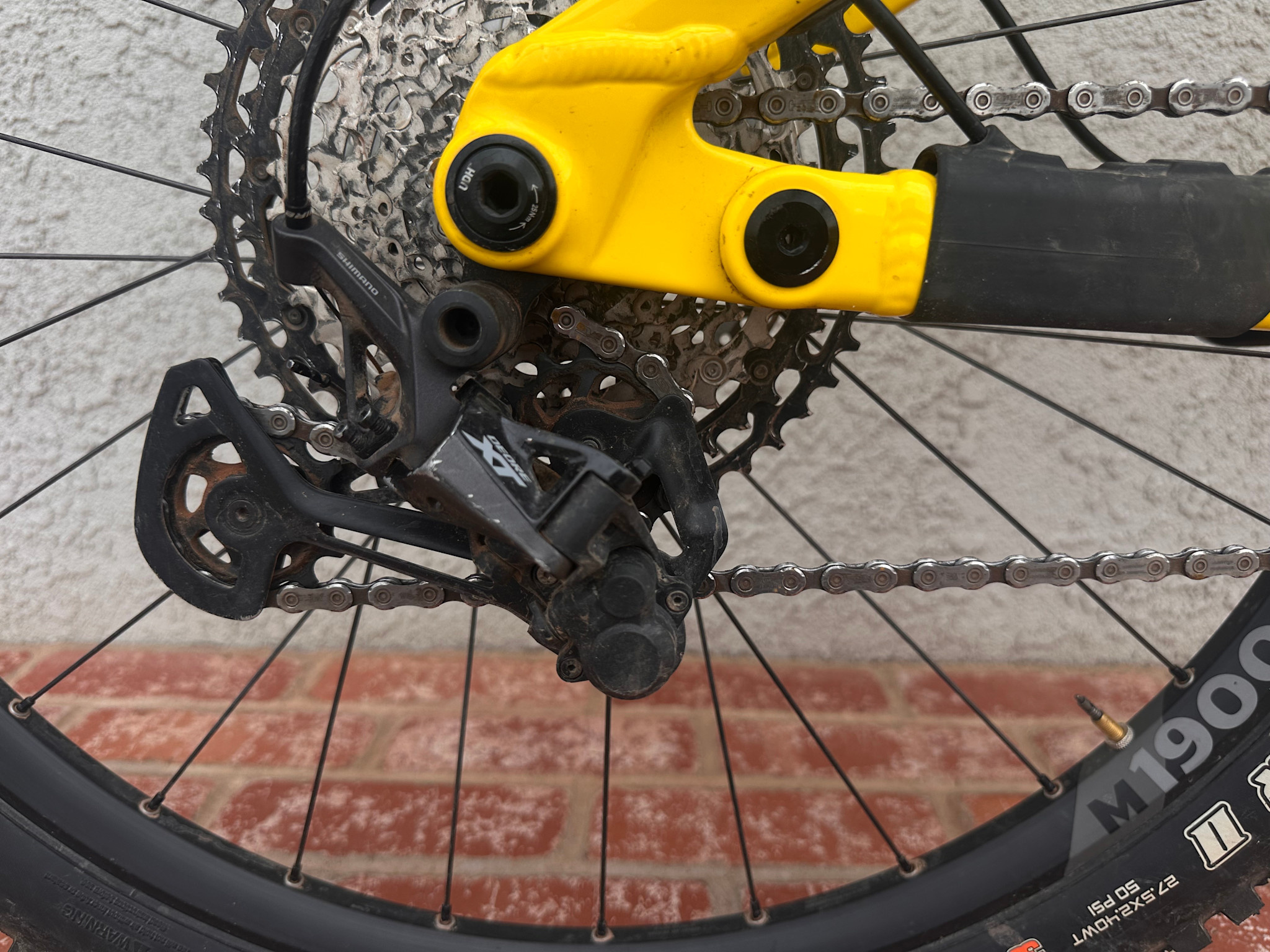Transition Transition Scout Alloy XT (X-Small-Dandelion) DEMO