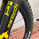 Transition Transition Scout Alloy XT (X-Small-Dandelion) DEMO