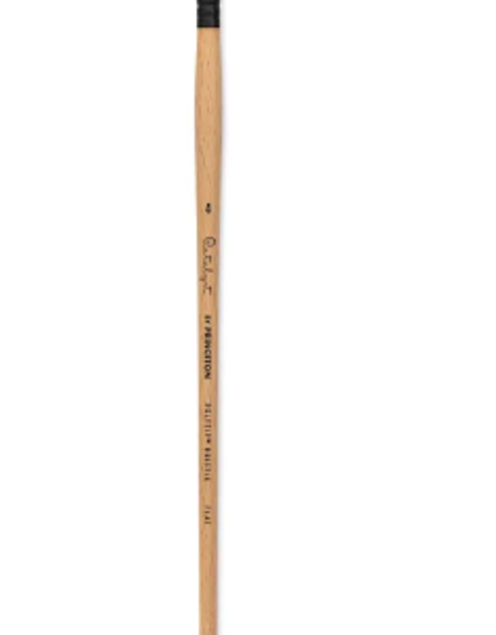 Princeton Art & Brush Co. Princeton Catalyst Polytip bristle brush - Flat  4