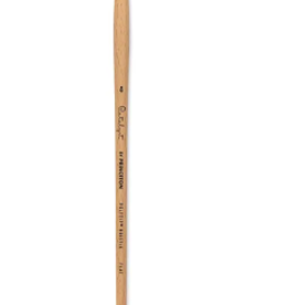 Princeton Art & Brush Co. Princeton Catalyst Polytip bristle brush - Flat  4