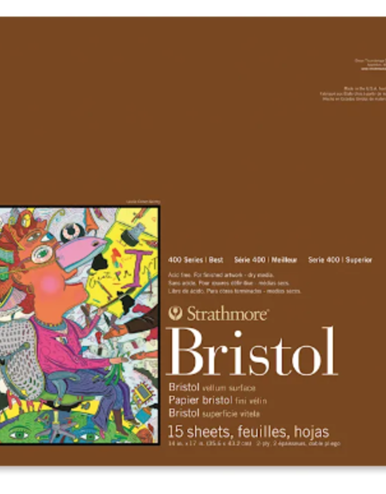 Strathmore Strathmore Bristol Vellum 14x17