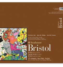 Strathmore Strathmore Bristol Vellum 14x17