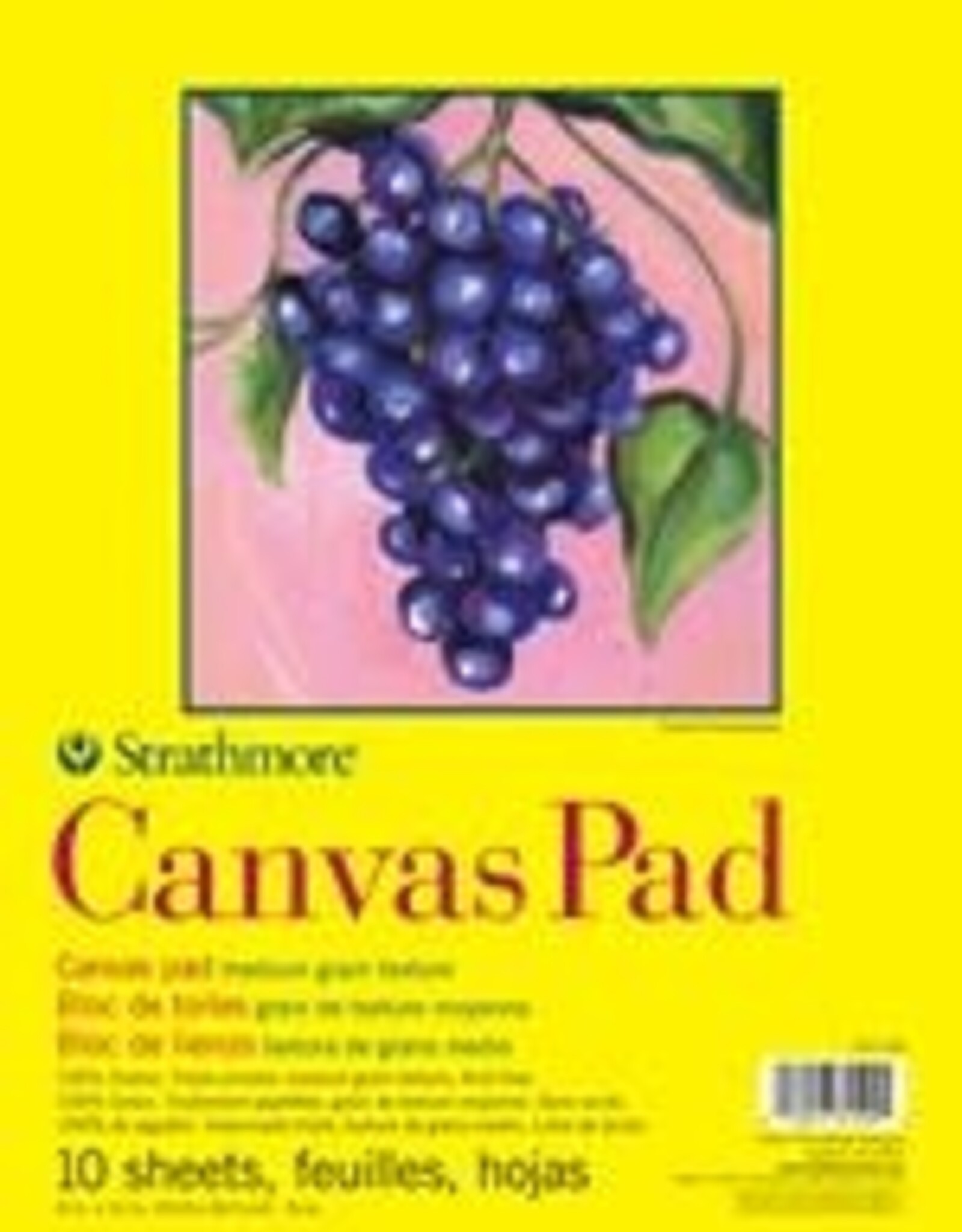 Strathmore Canvas Pad 9x12