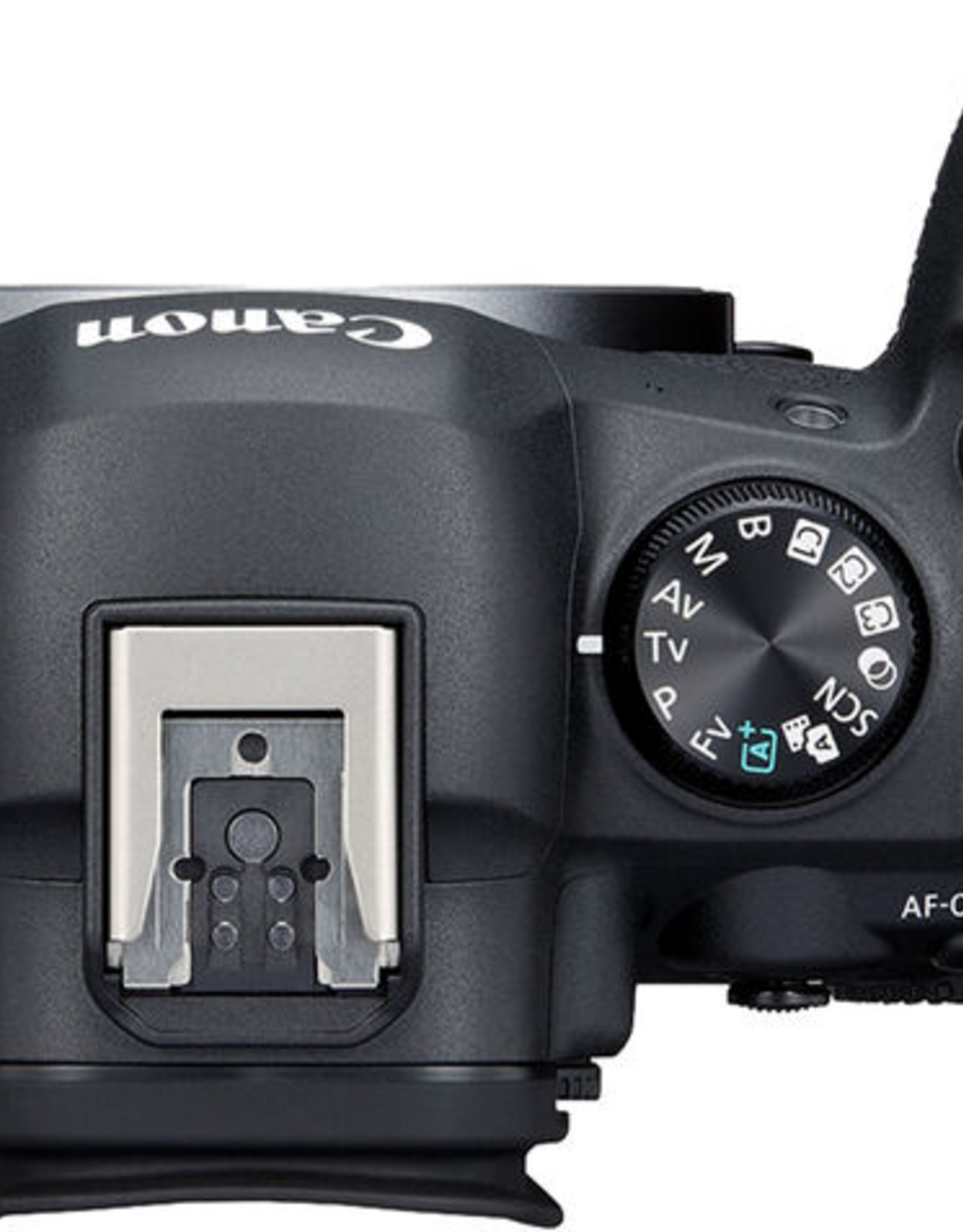SanDisk Photo Equipment Canon EOS R6 Mark II Mirrorless Camera