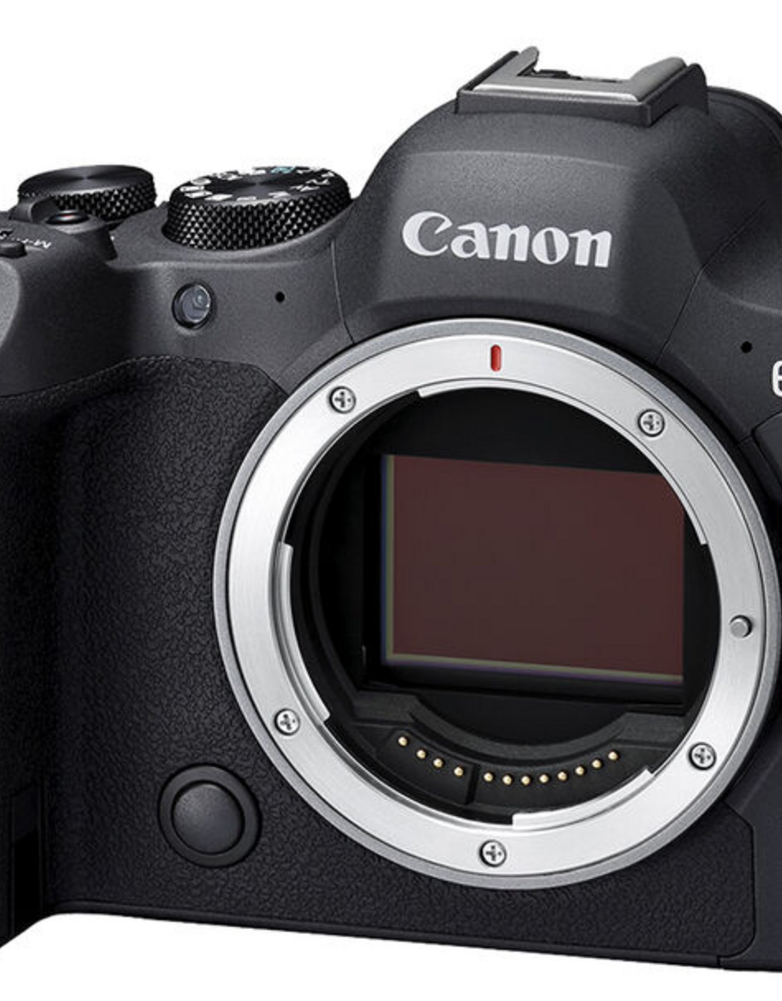 SanDisk Photo Equipment Canon EOS R6 Mark II Mirrorless Camera