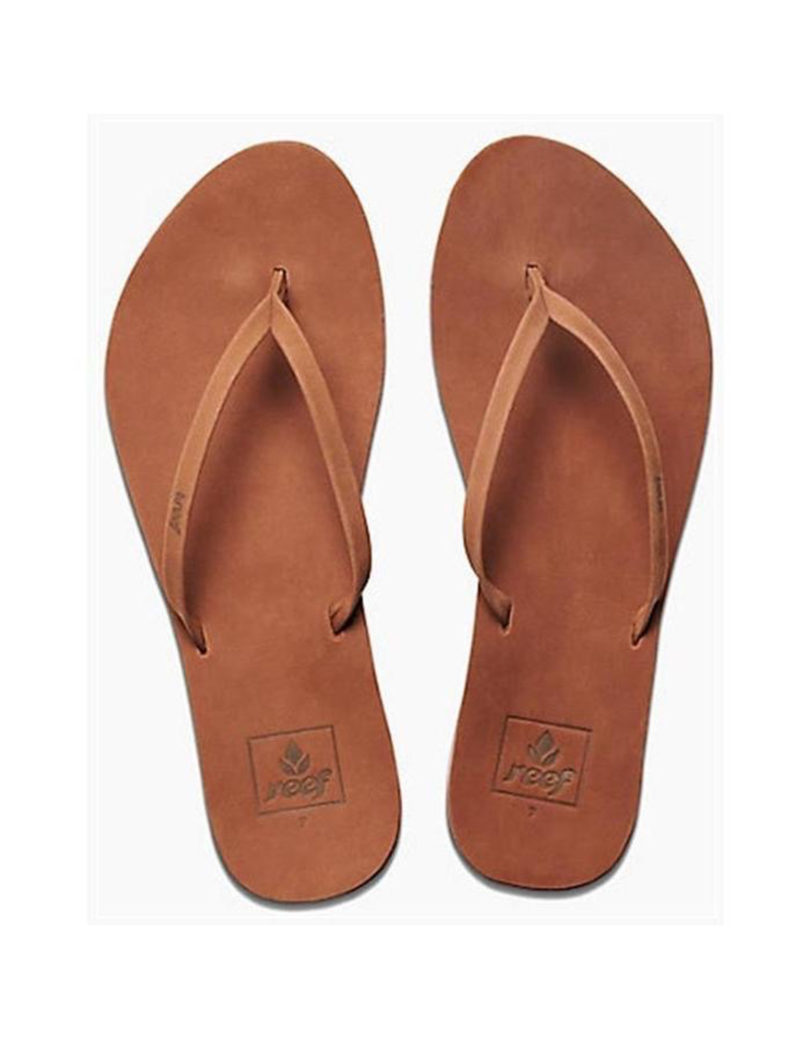 REEF CUSHION BOUNCE SLIM LE - Salty's Board Shop