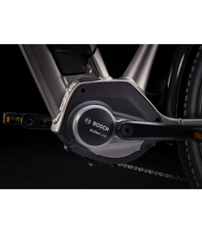 23 Trek Verve +2 Gris