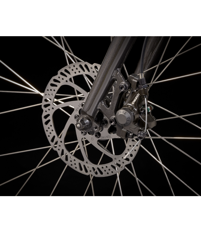 22 Trek Verve 1 Disc Dnister Black Lowstep