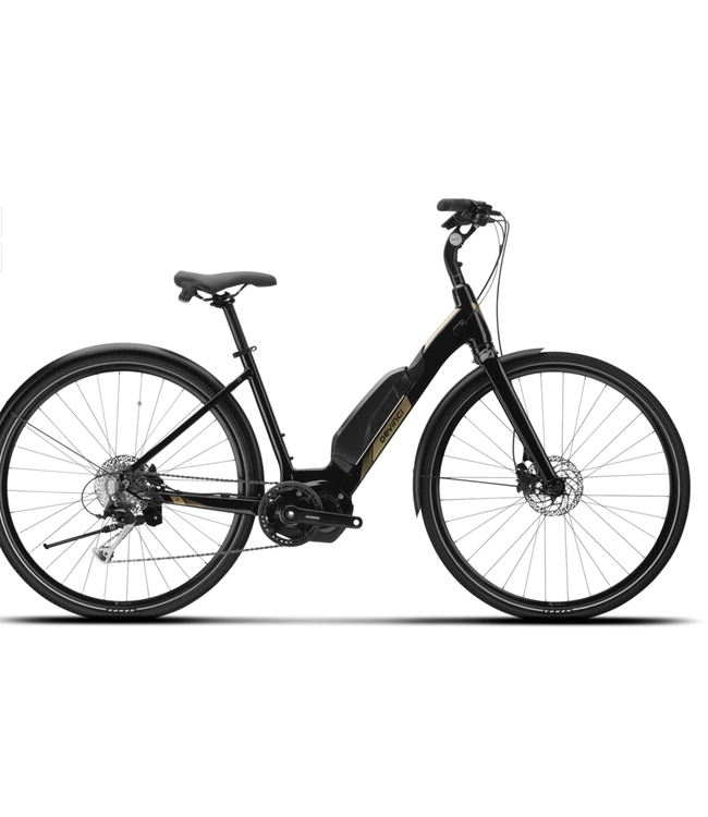 22 Devinci E-Griffin E6100 Goldland