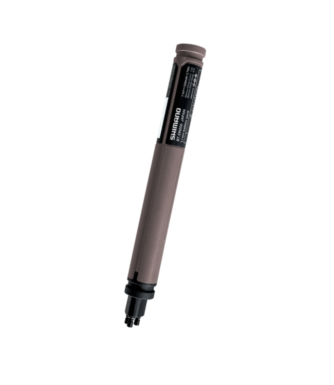 Batterie BT-DN300, Type Intégré