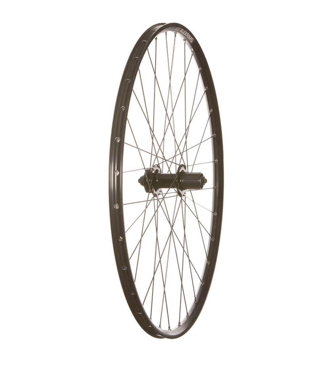 Roue 29'' Wheel Shop Alex / Quick Release / Disc 6 Bolt / 135mm / HG / Arrière