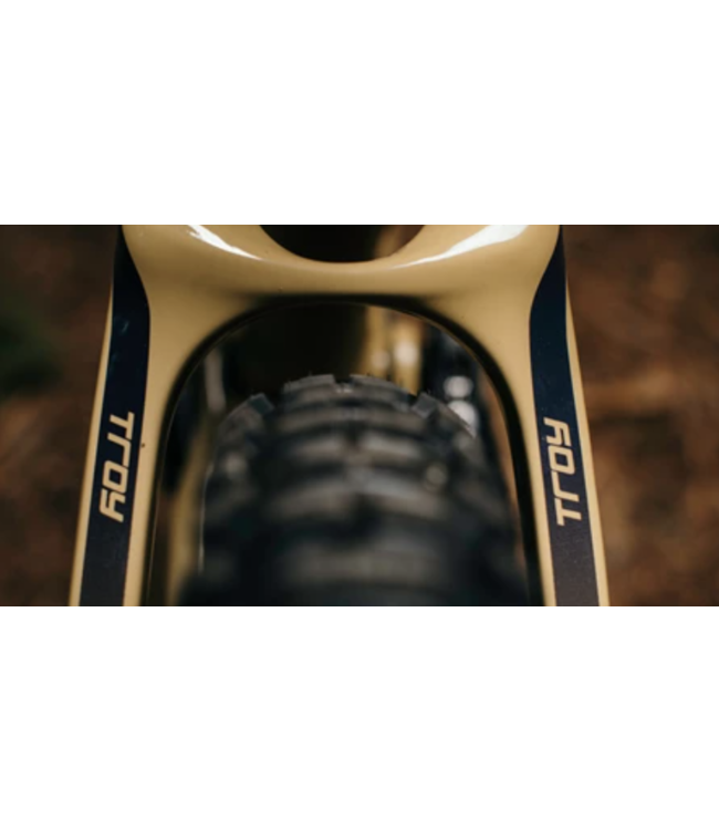 23 Devinci Troy C/A29 GX 12s Black Edition