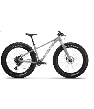 Devinci 22 Devinci Minus NX 12s Silver