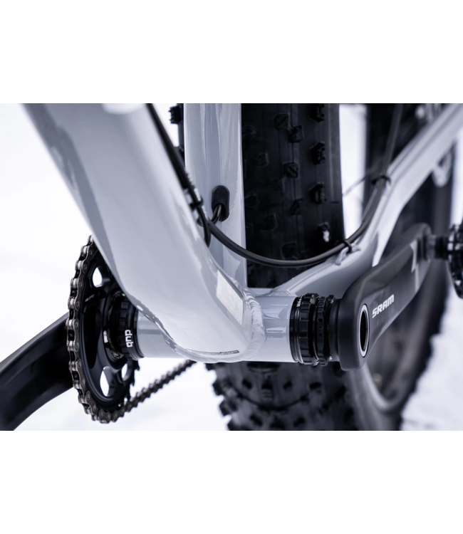 22 Devinci Minus NX 12s Silver