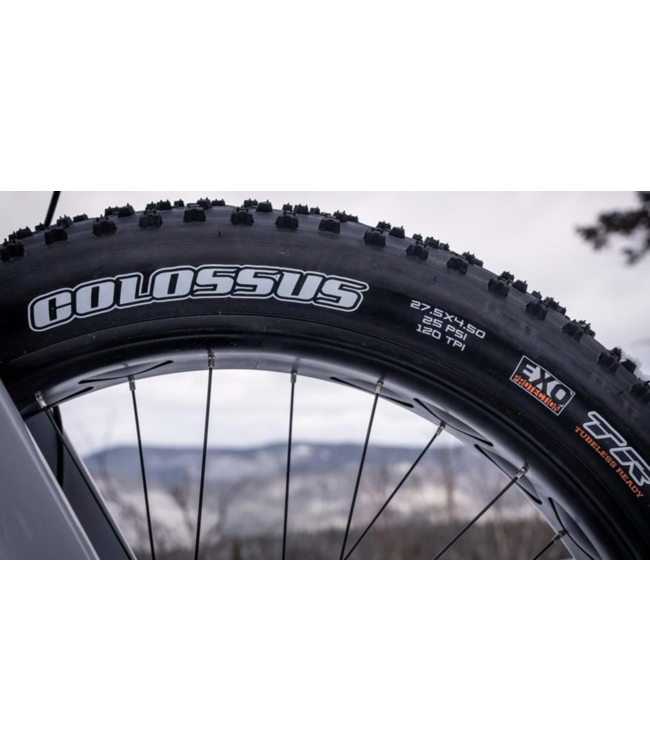 22 Devinci Minus NX 12s Silver