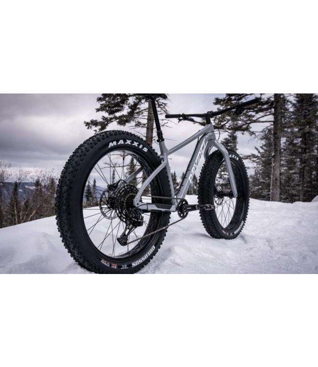 22 Devinci Minus NX 12s Silver