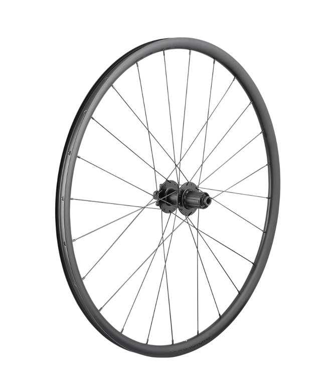 Roue Arriere Bontrager Paradigm SL 6-Bolt Disc 24H 700c Shimano Road 11 Speed
