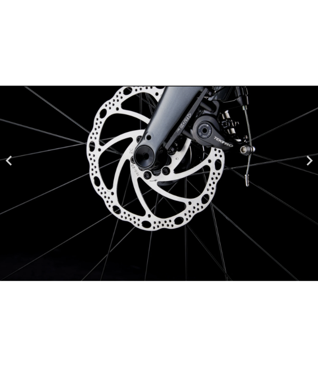 24 Trek Domane AL 2 Gen 4 Matte Lithium Grey