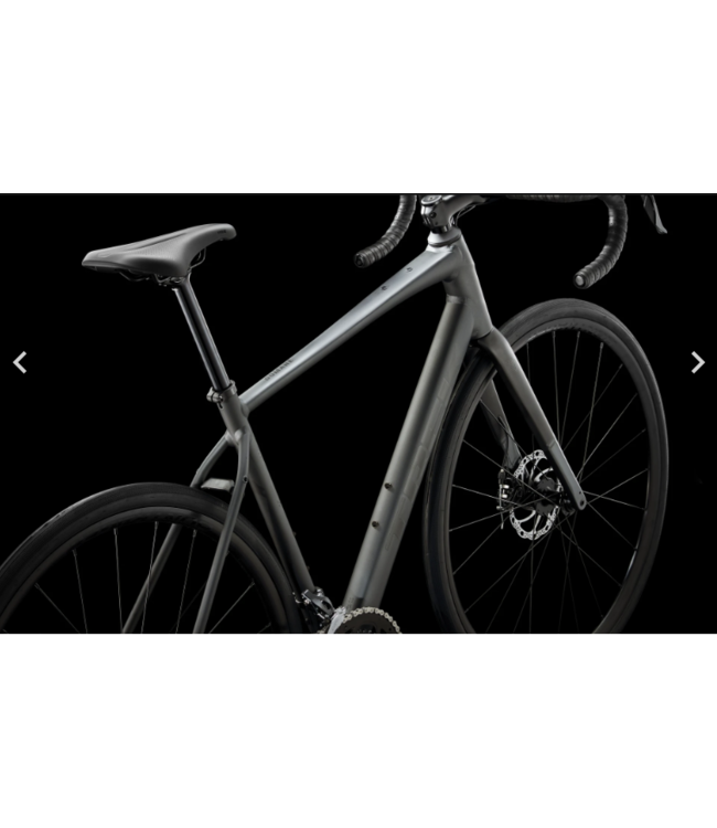 24 Trek Domane AL 2 Gen 4 Matte Lithium Grey