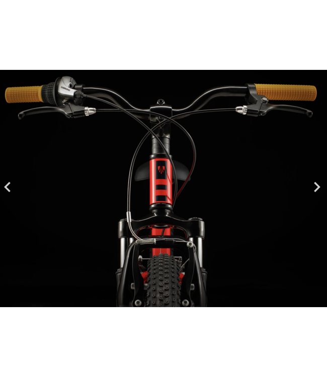 24 Trek Precaliber 20" 7 Vitesses