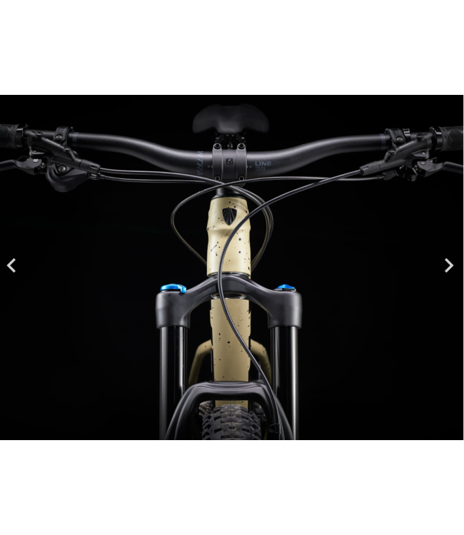 23 Trek Roscoe 9 Matte Quicksand to Olive Fade/Black