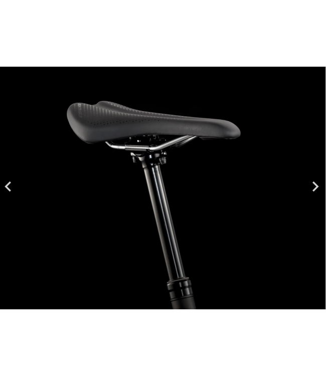 23 Trek Roscoe 9 Matte Quicksand to Olive Fade/Black