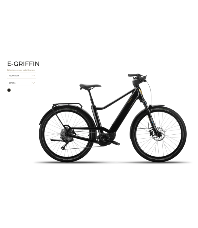 24 Devinci E-Griffin EP8 11s Goldland