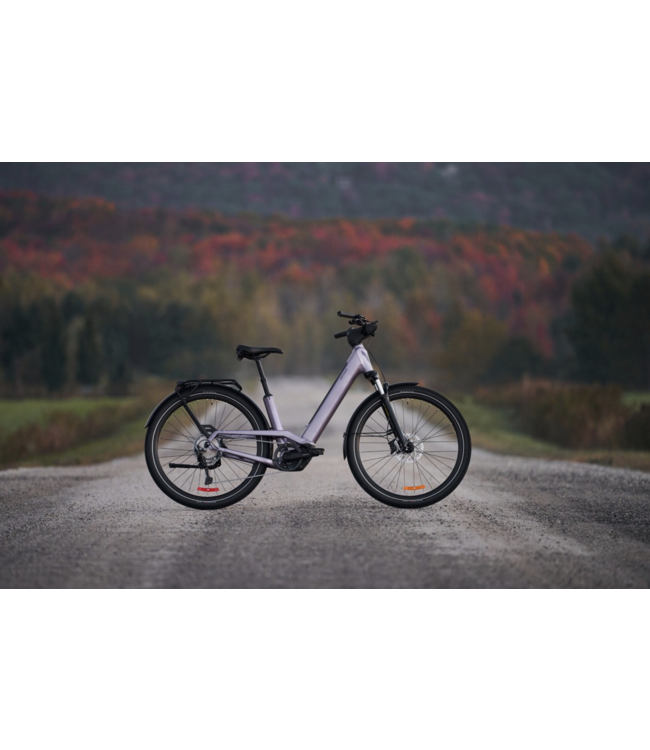 24 Devinci E-Griffin EP6 9s OSFA Morning Dew
