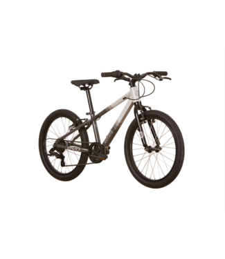 25 Velo EVO Coyote 20 Pouces 7 Vitesses Gris Velo St Joseph
