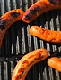 1608 & Herbs sausages