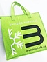 Cooler bag
