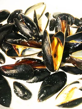 Moules bleues cuites