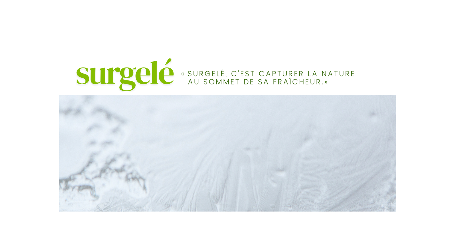Surgelé