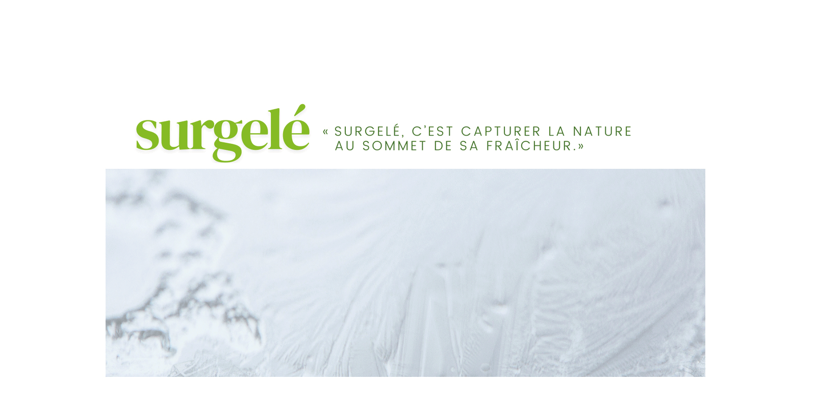 Surgelé