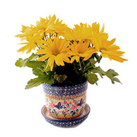 Flower Pots, Watering Cans, & Bird Houses