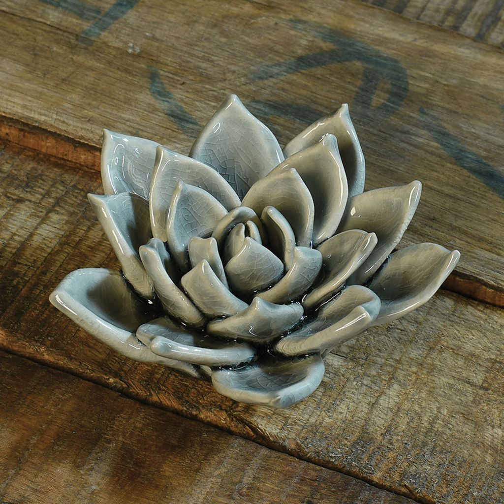 HomArt Ceramic Succulent - Grey - AREOhome